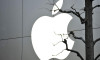 Apple, kullanıcılarından özür diledi