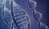 DNA’nın isimsiz kahramanı Rosalind Franklin
