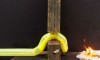 ABD’li araştırmacılar yılana benzeyen bir robot geliştirdi