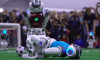 Yeşil sahalarda bu kez robot futbolcular top koşturdu
