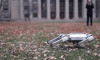 'Mini çita': Ters takla atabilen robot