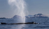 Antarktika dünyanın su deposu