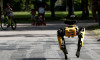 New York polisi 'robot köpek'i test ediyor 