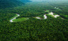 Facebook Amazon Ormanları’nda arazi satışını yasakladı