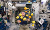 Uzayda yaşam mümkün mü? NASA astronotunun kalbi küçüldü