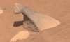NASA'nın Mars aracının keşfettiği ilginç kayalar!