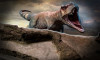 Dinazorları yok etmişti: 66 milyon yıl önceden ilk kanıt!