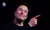 Elon Musk, kendi sosyal medya platformu için kolları sıvadı