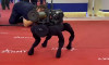 Rusya'nın tanıttığı roketatarlı robot köpeği oyuncak çıktı