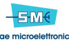 SIAE Microelettronica Türkiye müdürünü seçti