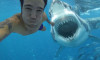 ''Köpek balıkları Selfie'den daha zararsız!''
