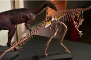Hızlı koşan yeni dinozor türü keşfedildi