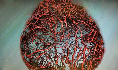 Bilim insanları 3D Biyoyazıcıyla kan damarlı canlı deri bastı