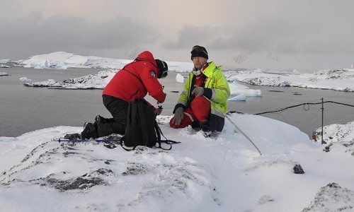 Antartika'da bilim insanlarının monotonluktan beyni küçüldü