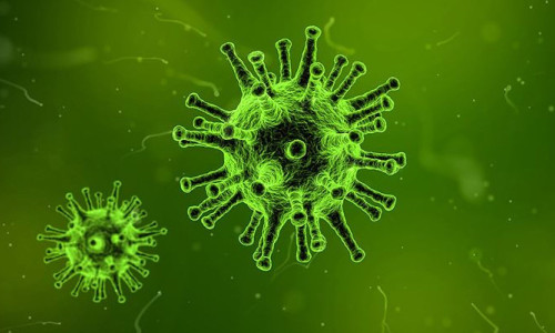 Virüslerde keşfedilen özellik tedavi için umut olabilir