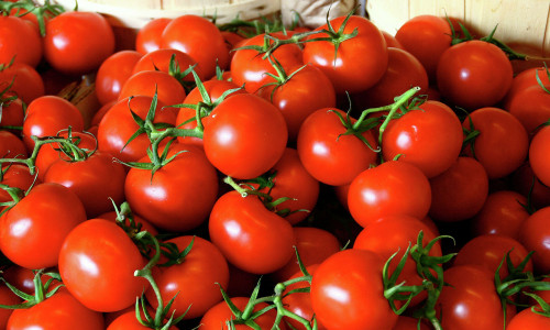 Mars koşullarında yetiştirilen domateslerden ketçap üretildi