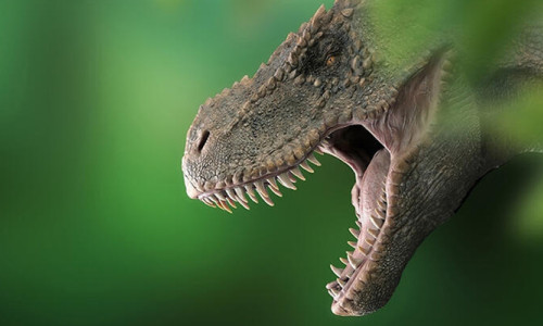 Avustralya'nın en büyük dinozor türü keşfedildi