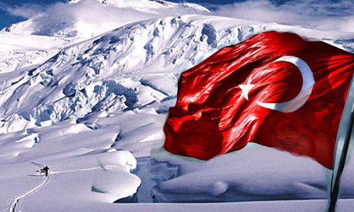 Türklerden Antarktika'da omurgasız hayvan araştırması 