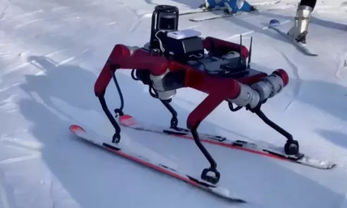 Çin'de kayak yapabilen robot üretildi