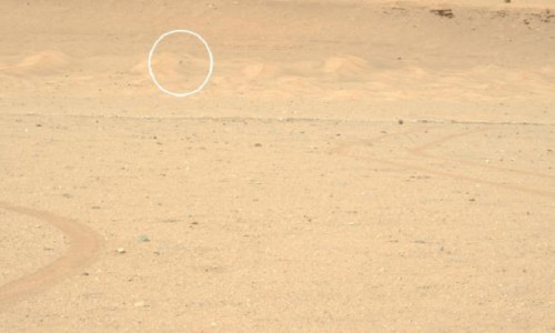 NASA, Mars'taki mini helikopter Ingenuity'nin fotoğrafını paylaştı