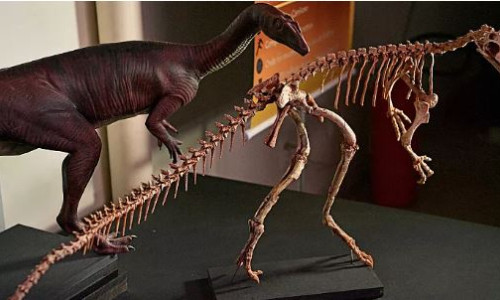 Hızlı koşan yeni dinozor türü keşfedildi